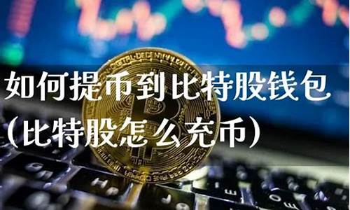 雷达钱包比特币如何提现(雷达钱包比特币如何提现的)