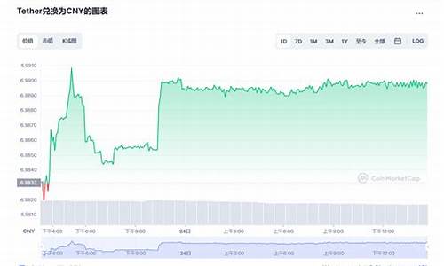 usdt多少钱一个人民币(今天usdt多少钱一个)(图1)